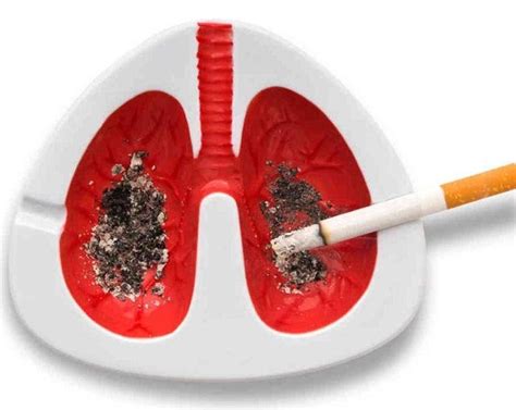 Tabaquismo aumenta la mortalidad por cáncer de pulmón ...