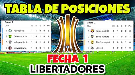 Tabla De Posiciones Copa Libertadores / Resultados Horarios Y Tabla De ...