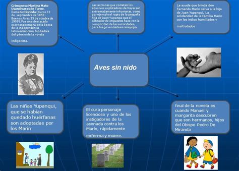 taller de comunicacion: aves sin nido