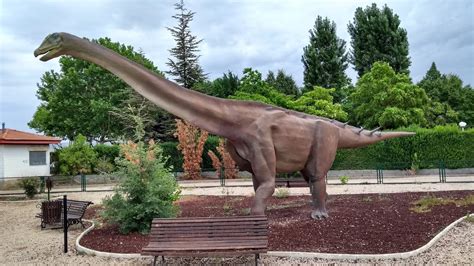 Taller de Restauración Paleontológica Cuenca 2017 ...