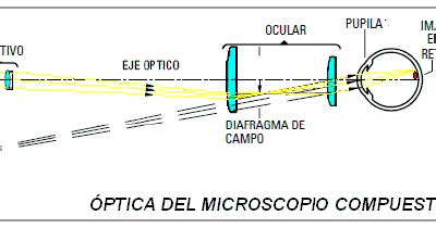 Tallerbiologiafuentezuelas49: Práctica Microscopio