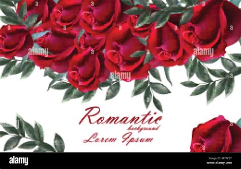Tarjeta de rosas romántico Vector. Hermosas Rosas rojas flores ...