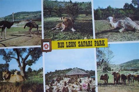 tarragona: río león safari park. albiñana. rese   Comprar ...