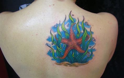 Tatuajes De Estrellas De Mar Significado   Ideas de tatuajes