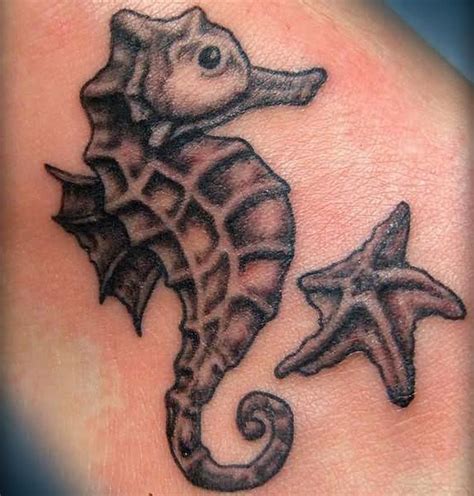 Tatuajes de estrellas de mar y su significado | Seahorse ...