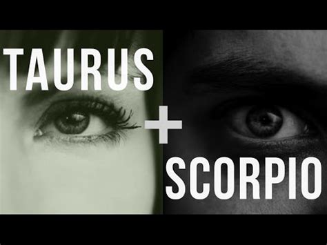 Taurus & Scorpio: Love Compatibility   YouTube