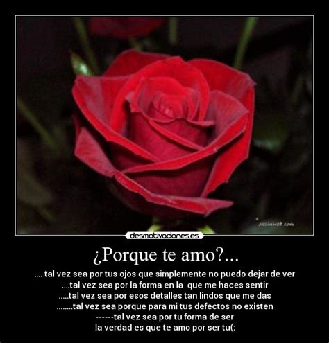 Te amo con una rosa   Imagui
