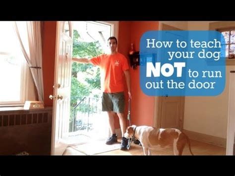 Teach Your Dog Not to Run Out the Door   YouTube