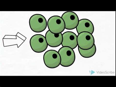 Tecnicas de Biología Molecular   Carlos Villarroel   YouTube