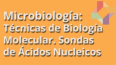 Técnicas de Biología Molecular: Sondas de Ácidos Nucleicos ...