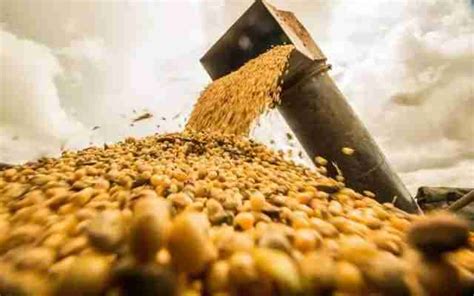 Tecnologias que impactam a produção de soja no Brasil   AgricOnline