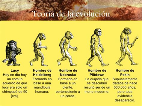 Tema 19 EvolucióN Vs Creacion