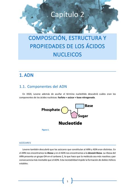 TEMA 2. Composición, estructura y propiedades de los ácidos nucleicos ...