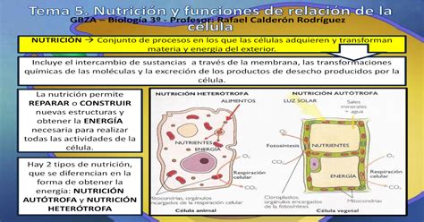 Tema 5 Nutricion Celular   [PDF Document]