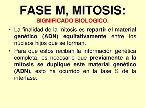 Tema 6 el ciclo celular. mitosis y meiosis