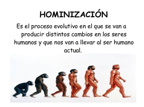 Tema 7  2  hominización
