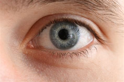 Temblor en el ojo: ¿Qué es y por qué se produce?   Vissum