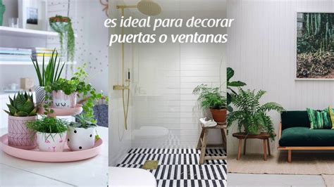 Tendencias en colores para la decoración de interiores ...