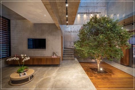 ¿Tendrías un árbol de interior en tu casa?   PLANETA ARQUITECTURA