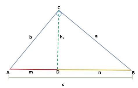 Teorema de Euclides: Demostración, Aplicación y Ejercicios ...