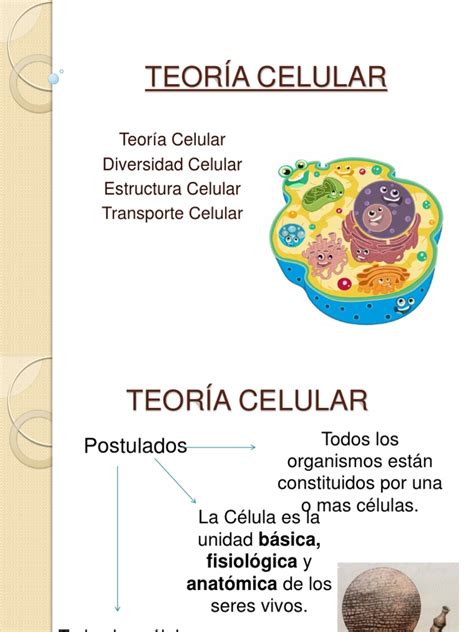 TEORÍA CELULAR | Citoplasma | Célula  Biología