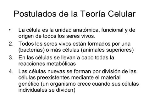 TeorIa Celular