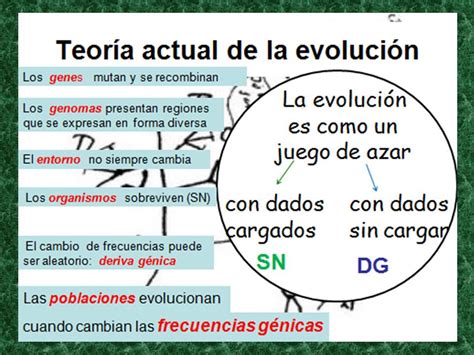 Teoría de Evolución :: Evolibro