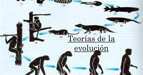 Teoria de la evolución ~ Aprenda historia de la humanidad