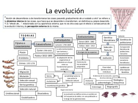 Teoria de la evolución