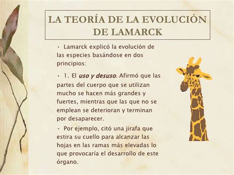 Teoria Evolucion Lamarck