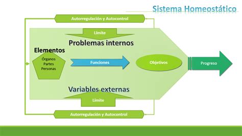 Teoría Sistemas de Información: Punto 2: Sistema Homeostático