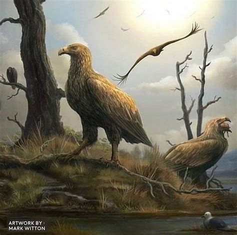 Teratornis was a huge North American bird of prey. A large number of ...