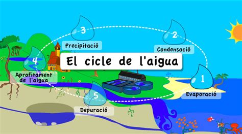 Tercer Clara Campoamor: Trencaclosques Cicle de l aigua