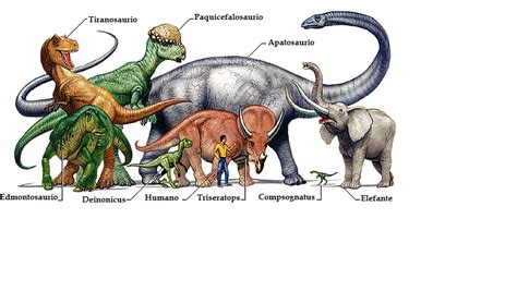 Tercero Lange Ley: Dinosaurios.... ¿Por qué se extinguieron?