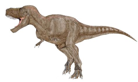 Terranatura Dinosaurios: Tirannosaurus rex