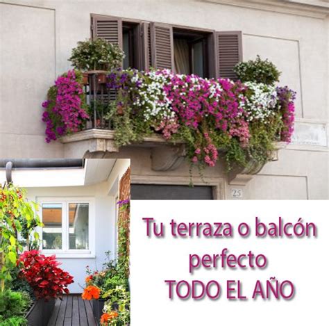 terraza | Flores balcon, Plantas terraza y Terrazas