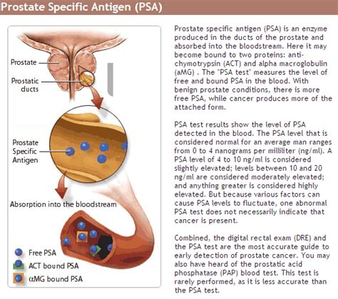 Teste de PSA  Antígeno prostático específico : Valores ...