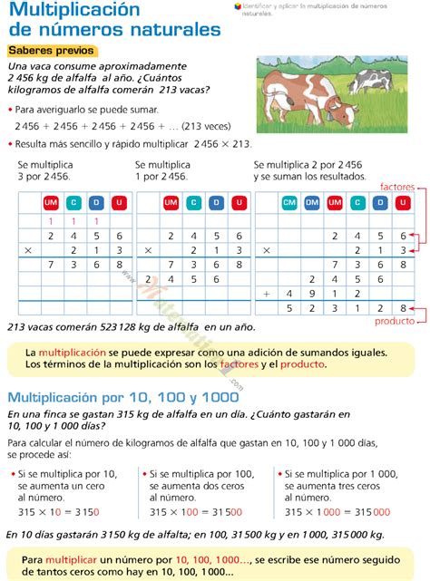 TEXTO DE EJERCICIOS DE MATEMATICA 6–SEXTO AÑO PDF