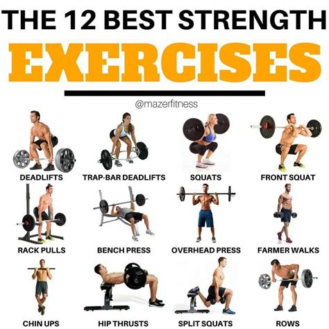 THE 12 BEST STRENGTH EXERCISES!!   Well, the best? Yeah I ...