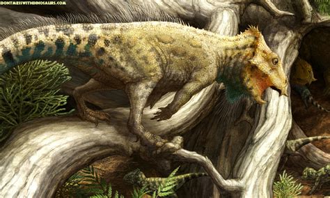 The 15 Most Magnificent Dinosaur Discoveries Of 2014 ...