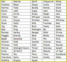 The 25+ best Horse names ideas on Pinterest