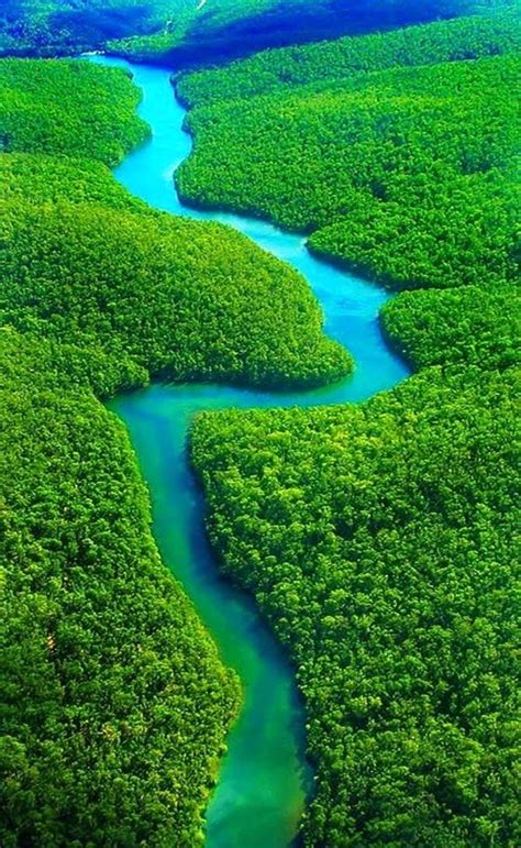 The Amazon Rainforest, Brazil 10 Worlds Amazing Forests ...