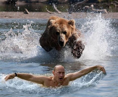 The bear chases Putin | Vladimir Putin s funniest memes ...