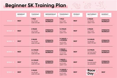 The Best Beginner 5K Training Plan in 2020 | 5k training ...