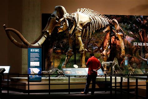 The Best Dinosaur Museums in the World | Reader s Digest