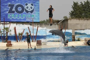 The Best Madrid Zoo Aquarium Tours & Tickets 2018   Madrid | Viator