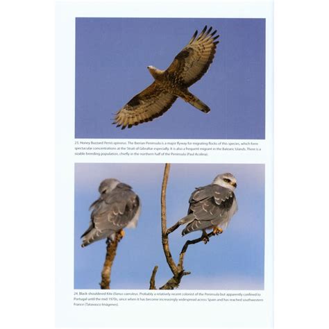 The Birds of the Iberian Peninsula