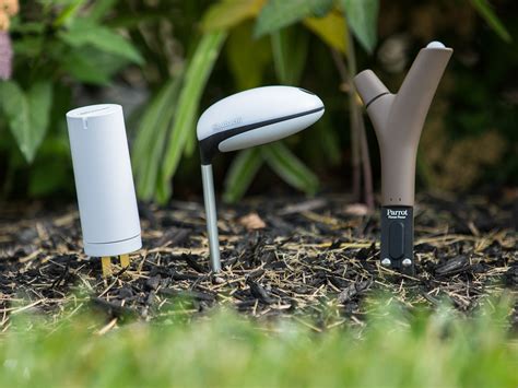 The Blossoming Internet of Things — For Your Garden ...