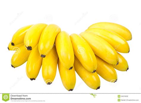 The Bunch Of Small Bananas Isolated On White Stock Photo ...