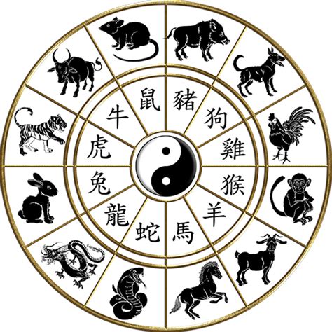 The Chinese Horoscope / Horóscopo Chino on We Heart It